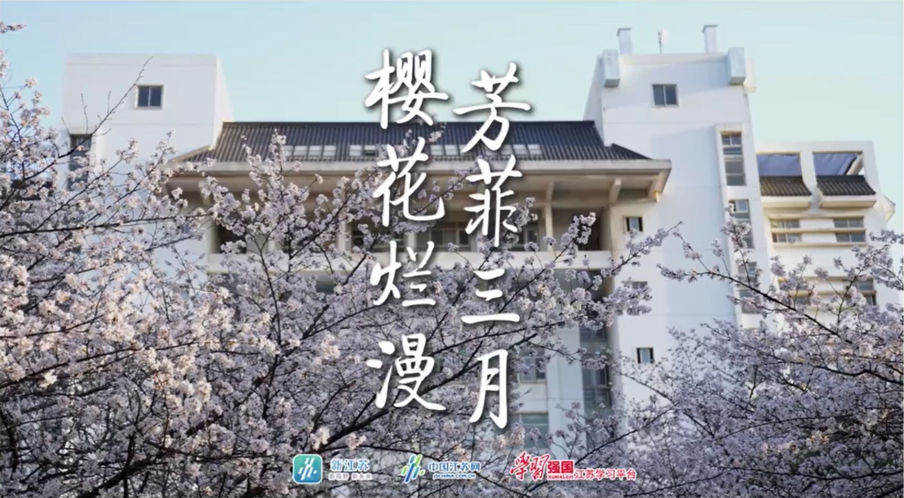 学习强国：樱花悄然盛放，满树繁花织就南林最美风景，3月15日至26日校园开放，期待与你一起赏花。