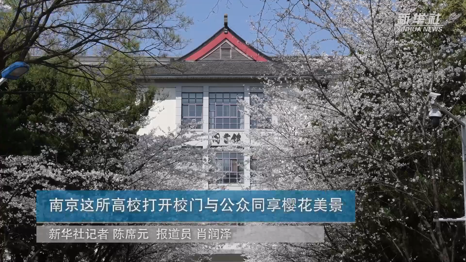 新华社：南京这所高校打开校门与公众同享樱花美景